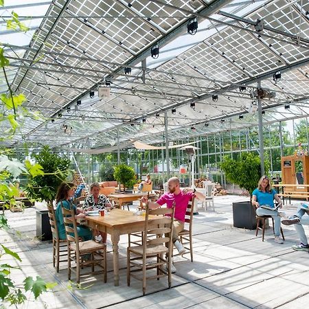 Achterhoeks Goed, Bed & Breakfast In Vragender Kültér fotó