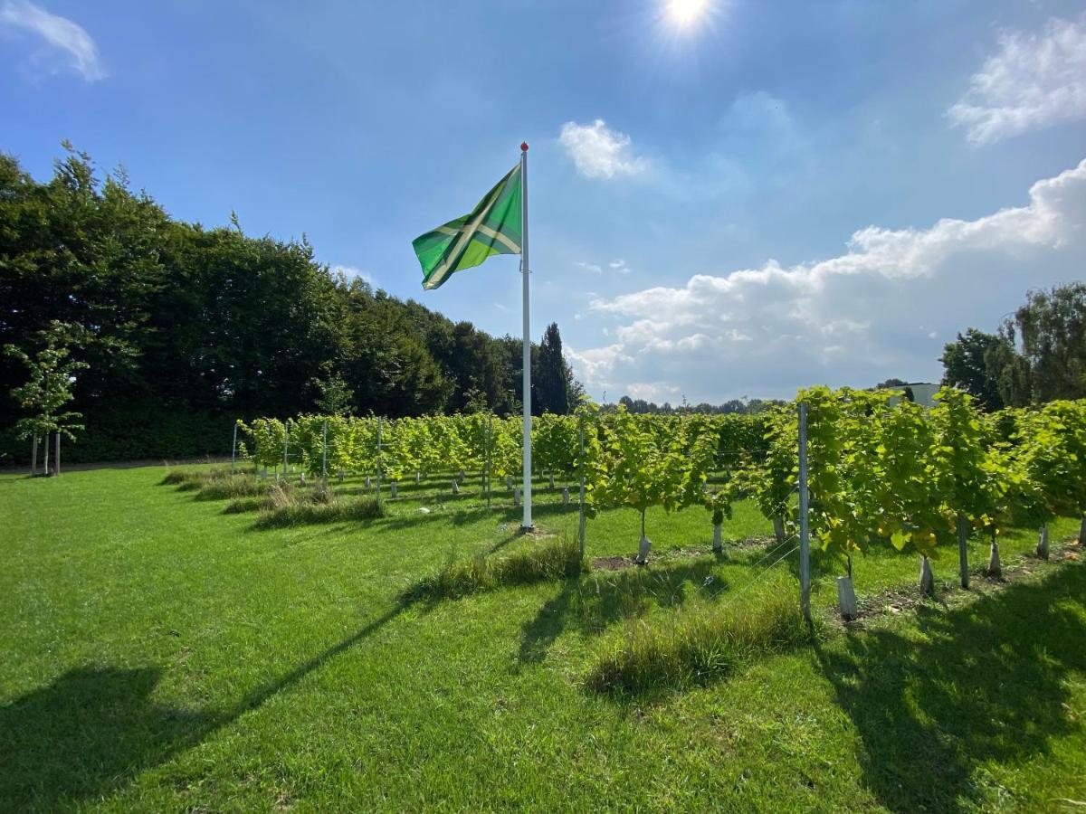 Achterhoeks Goed, Bed & Breakfast In Vragender Kültér fotó