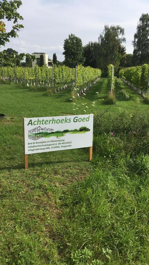 Achterhoeks Goed, Bed & Breakfast In Vragender Kültér fotó